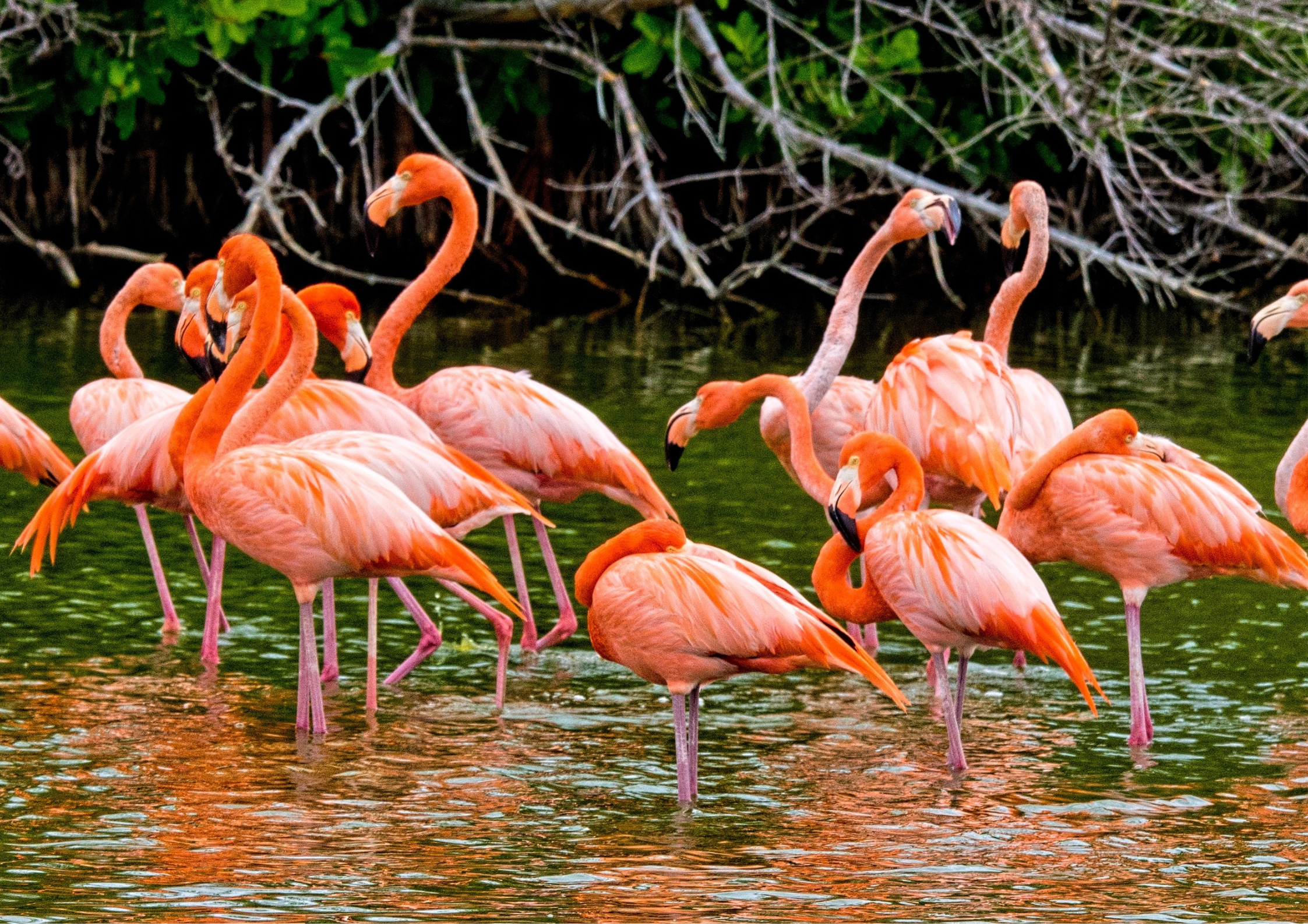 Read more about the article Five Dollars, Four Kids, and No Plan B