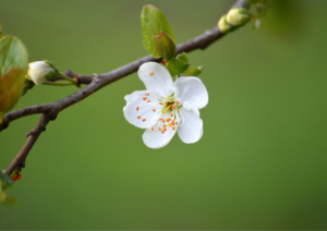 Read more about the article PUBLISHER’S LETTER: We Need Renewal