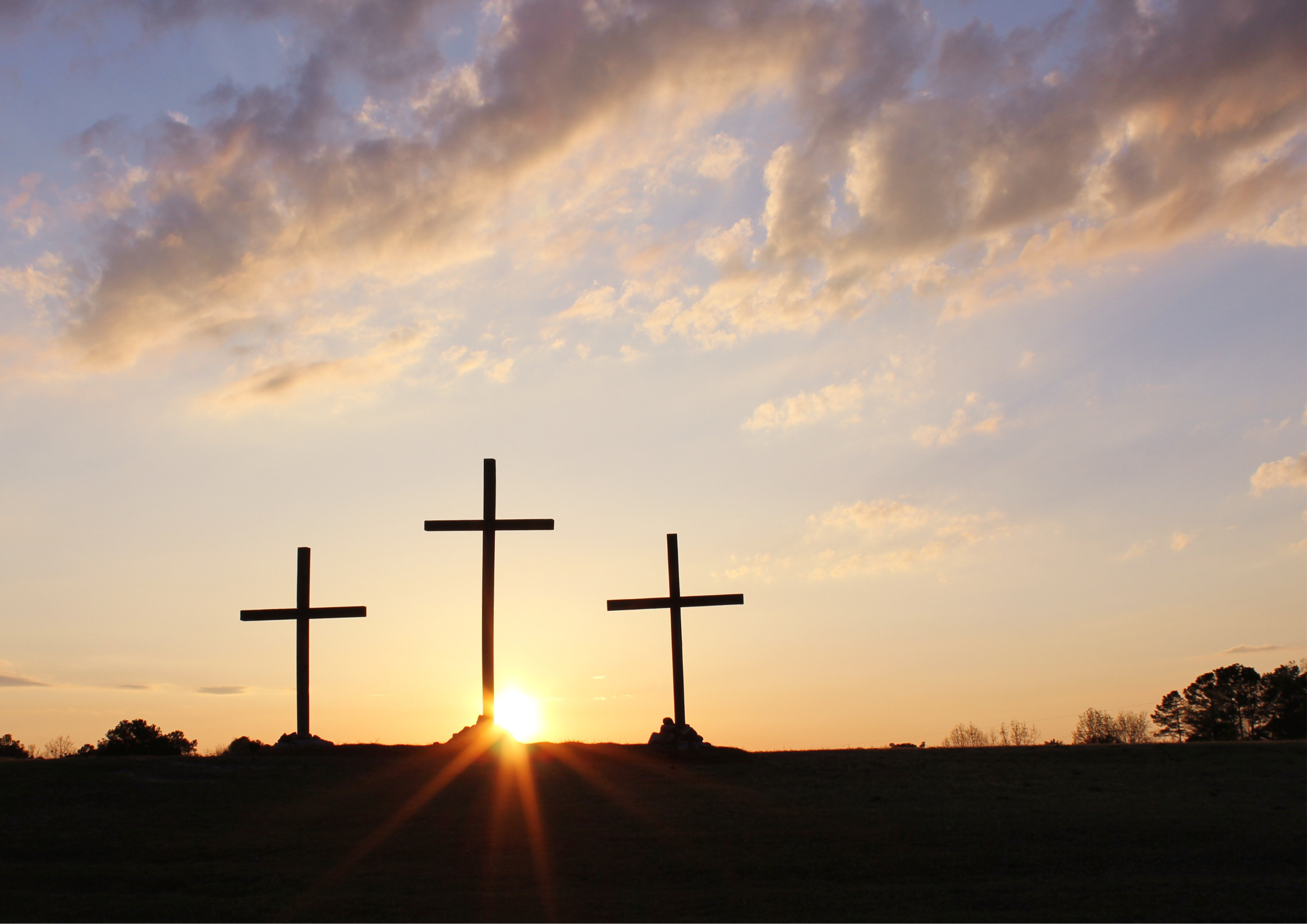 Read more about the article Bigger than the Bunny – Reclaiming the Roots of Easters Most Celebrated Symbols