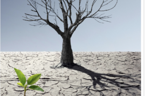 Read more about the article What is the Purpose of Revival?